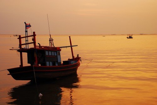boats at sunset_61855975
