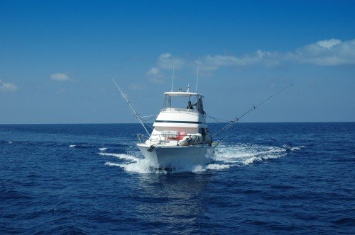 offshore fishing 2717302